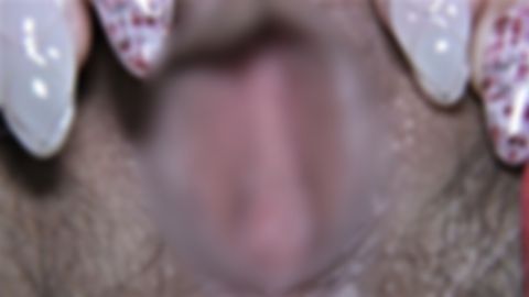 [超接写オマンコくっぱぁ～]〈爆乳Gカップ女子〉見られるだけでマン汁垂れまくり！ピンク膣奥しっかりおっぴろげ！狭膣/くるまる薄く長いラビア/長回し！FHD本編プレ付
